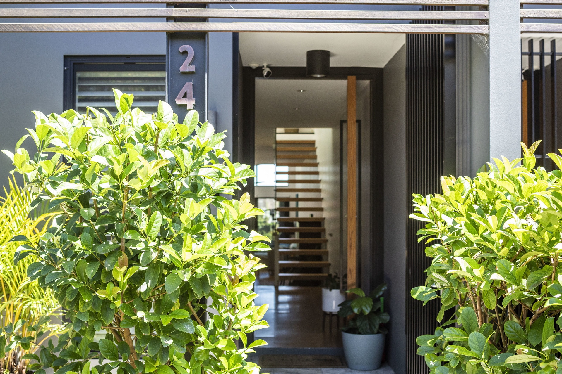 24 Henry Street, Leichhardt Sold by Hudson McHugh - image 1