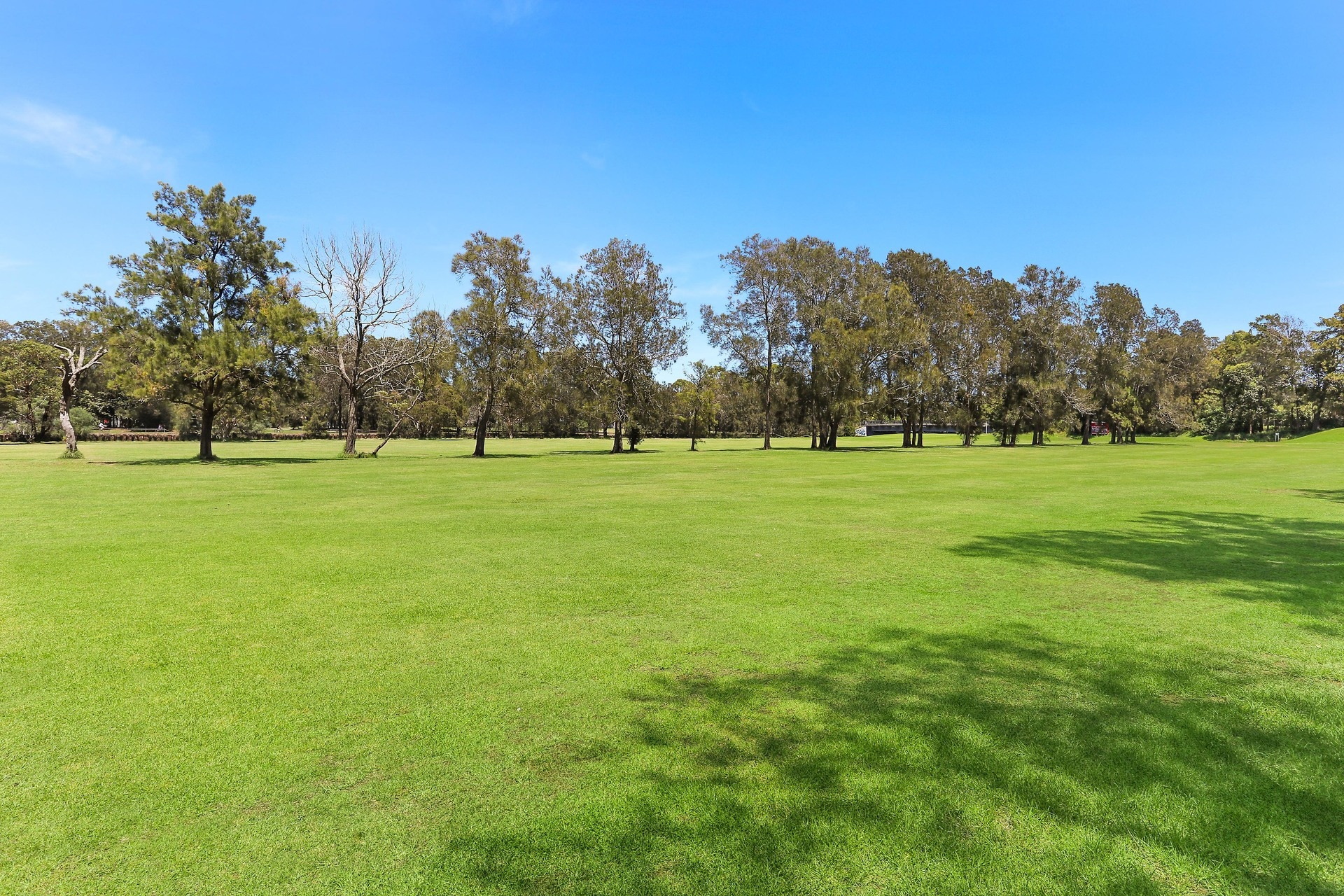 45 Riverside Crescent, Marrickville Sold by Hudson McHugh - image 1