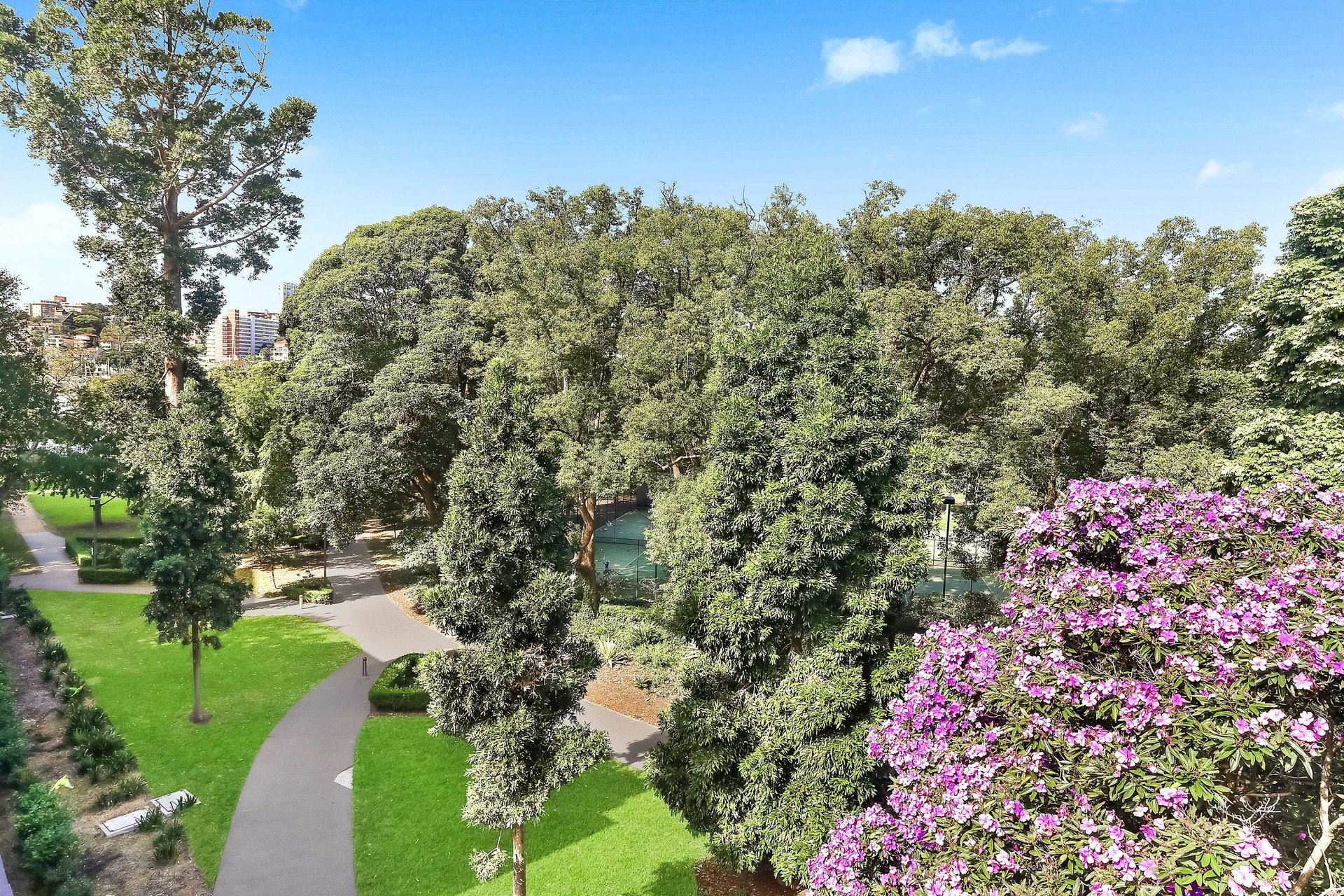 21/4 Waratah Street, Rushcutters Bay Sold by Hudson McHugh - image 1