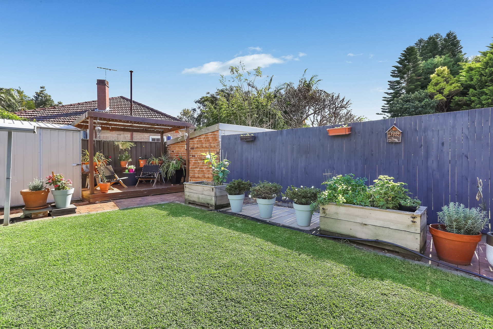 50 Crystal Street, Petersham Sold by Hudson McHugh - image 1