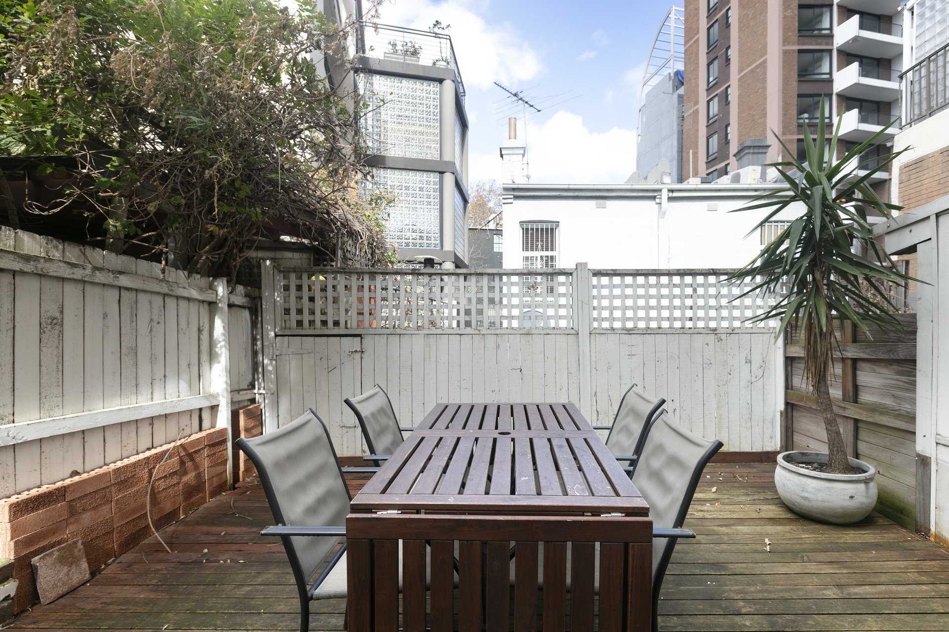 267 Goulburn Street, Surry Hills Leased by Hudson McHugh - image 1