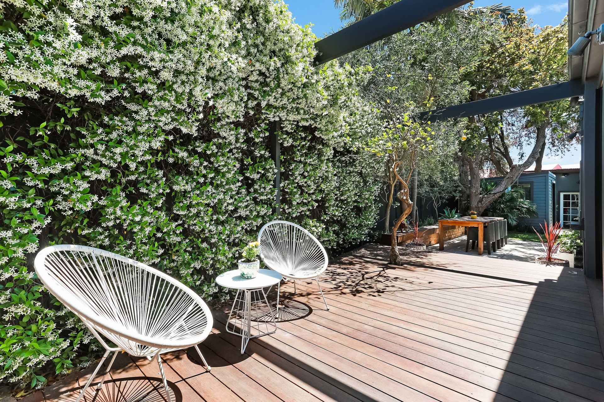 7 Clarke Street, Annandale Sold by Hudson McHugh - image 1