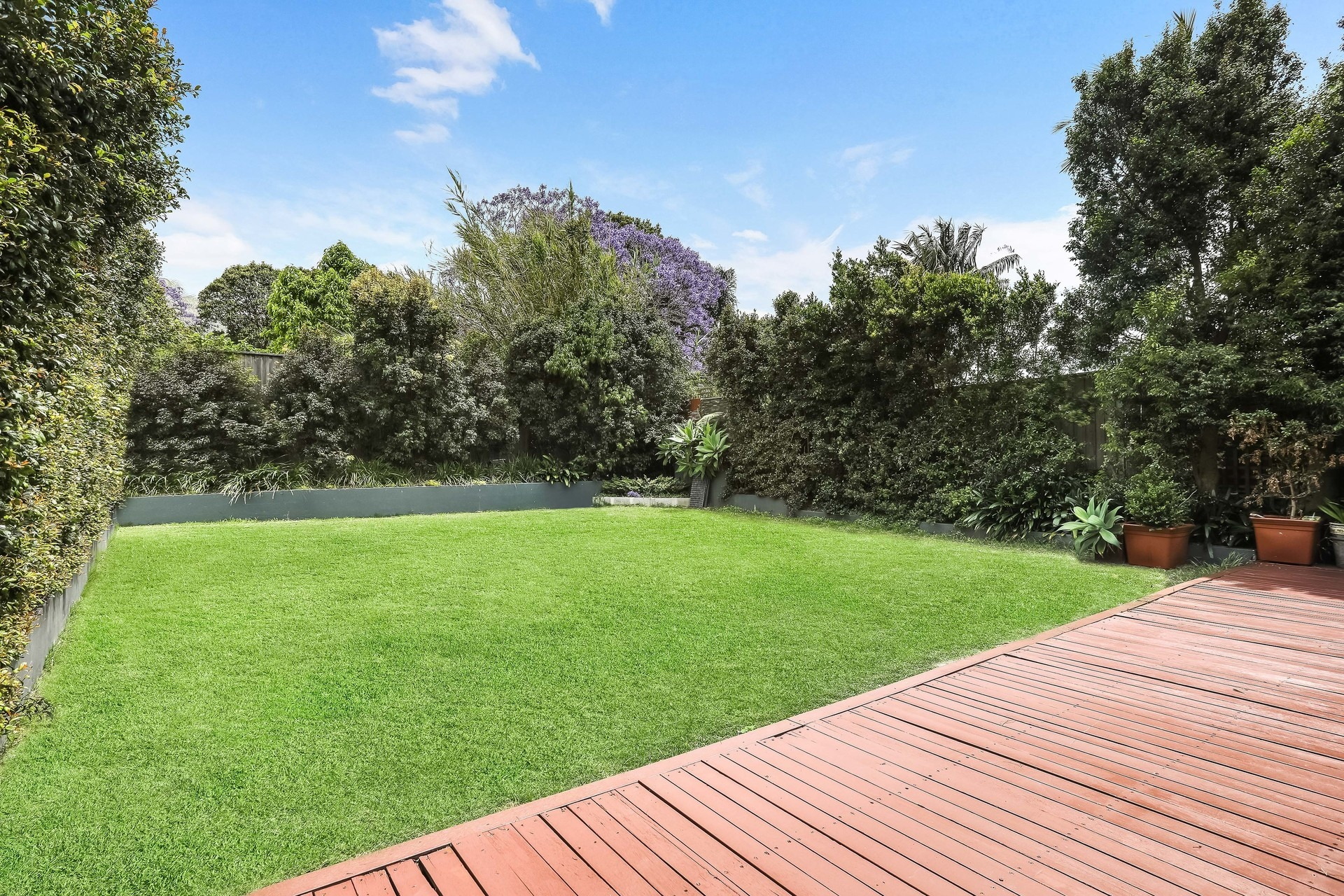 60 MacKenzie Street, Leichhardt Sold by Hudson McHugh - image 1