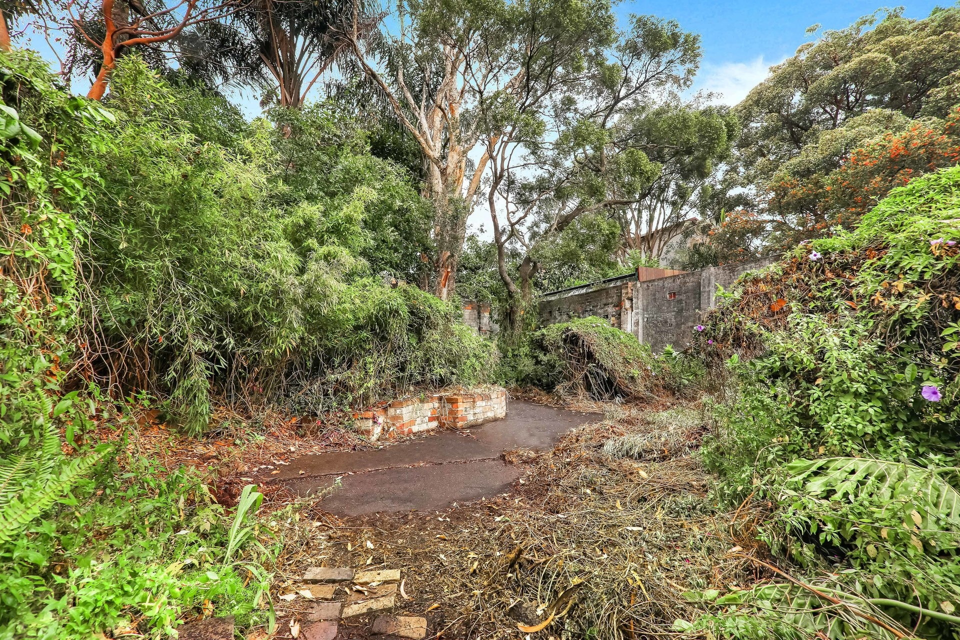 111 Foster Street, Leichhardt Sold by Hudson McHugh - image 1