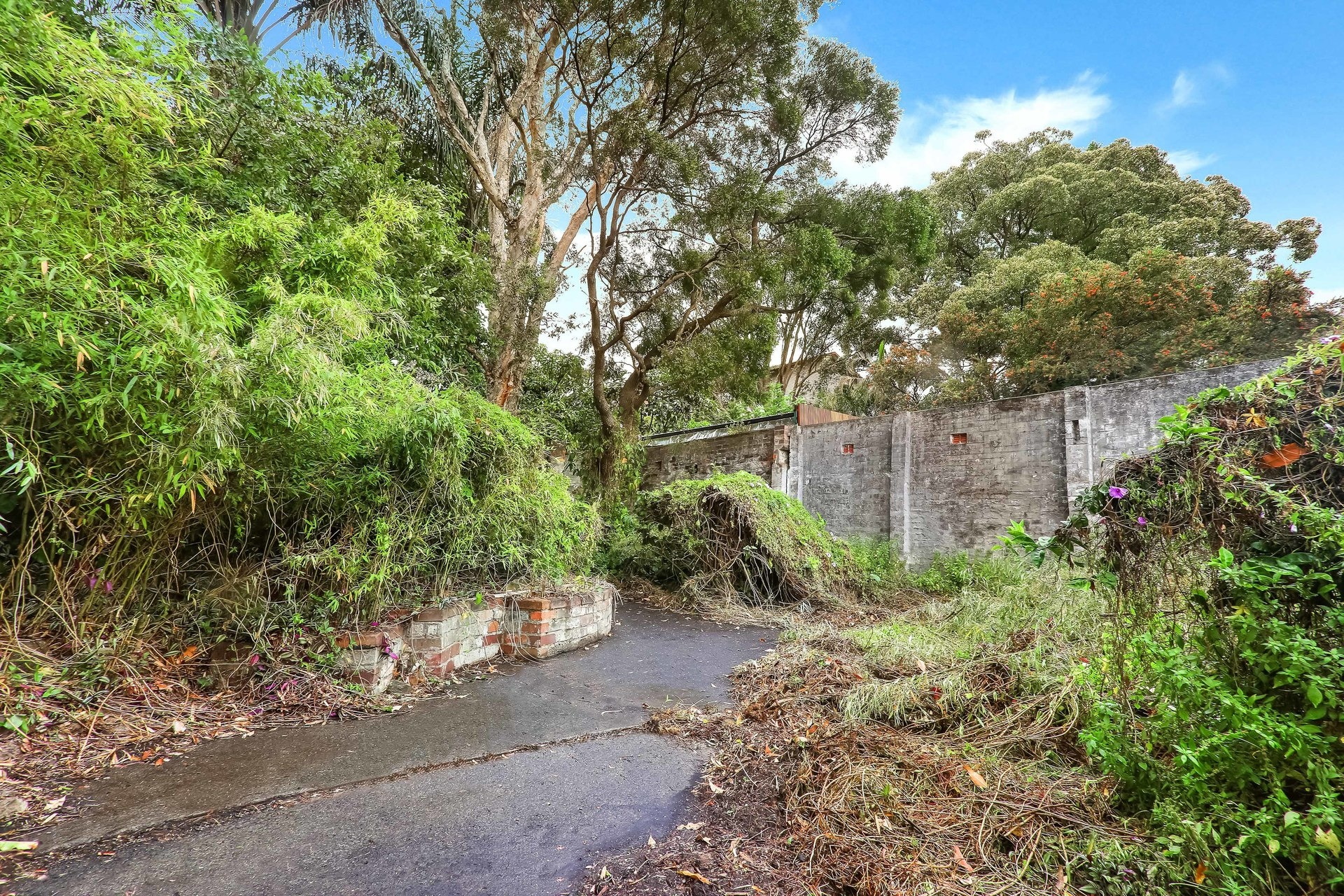 111 Foster Street, Leichhardt Sold by Hudson McHugh - image 1