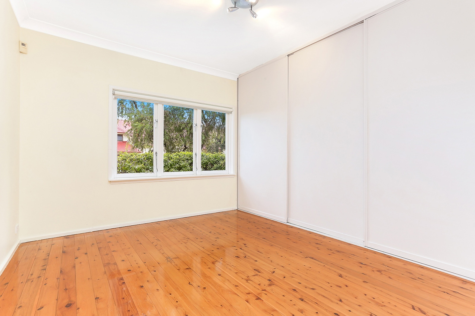 110A William Street, Leichhardt Leased by Hudson McHugh - image 1