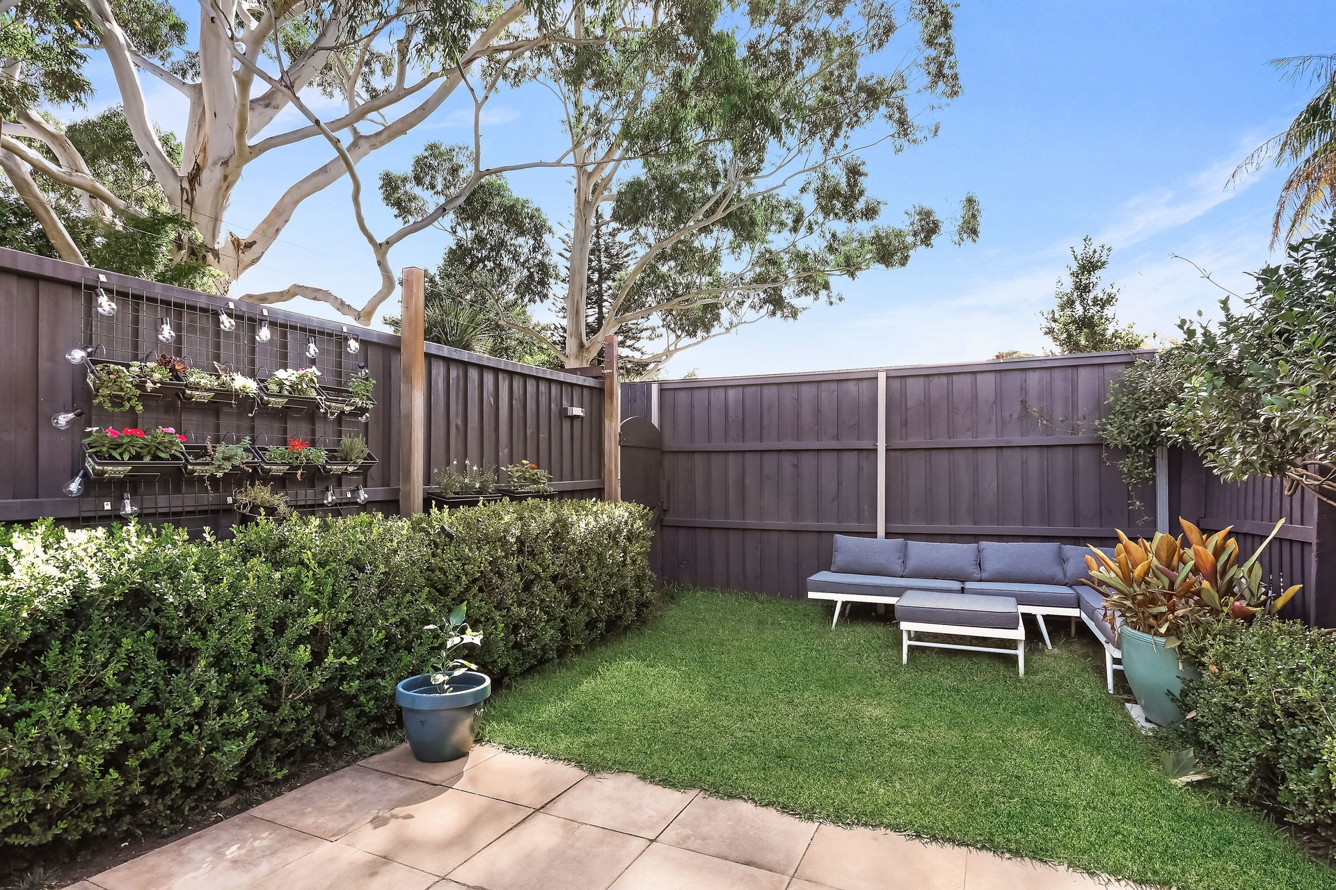 6a Ferris Street, Annandale Sold by Hudson McHugh - image 1