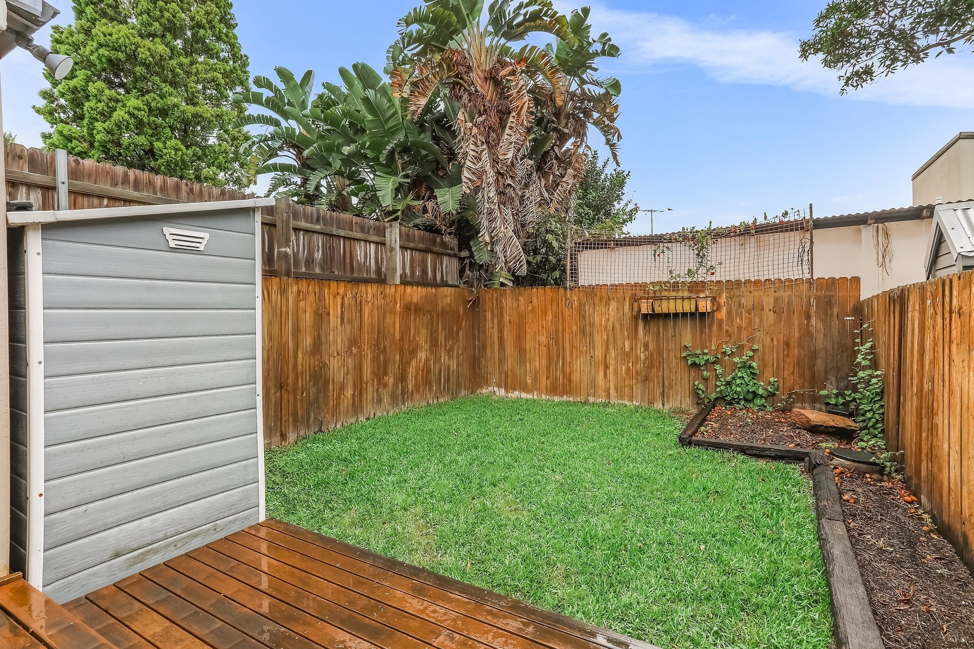 66 Day Street, Leichhardt Leased by Hudson McHugh - image 1