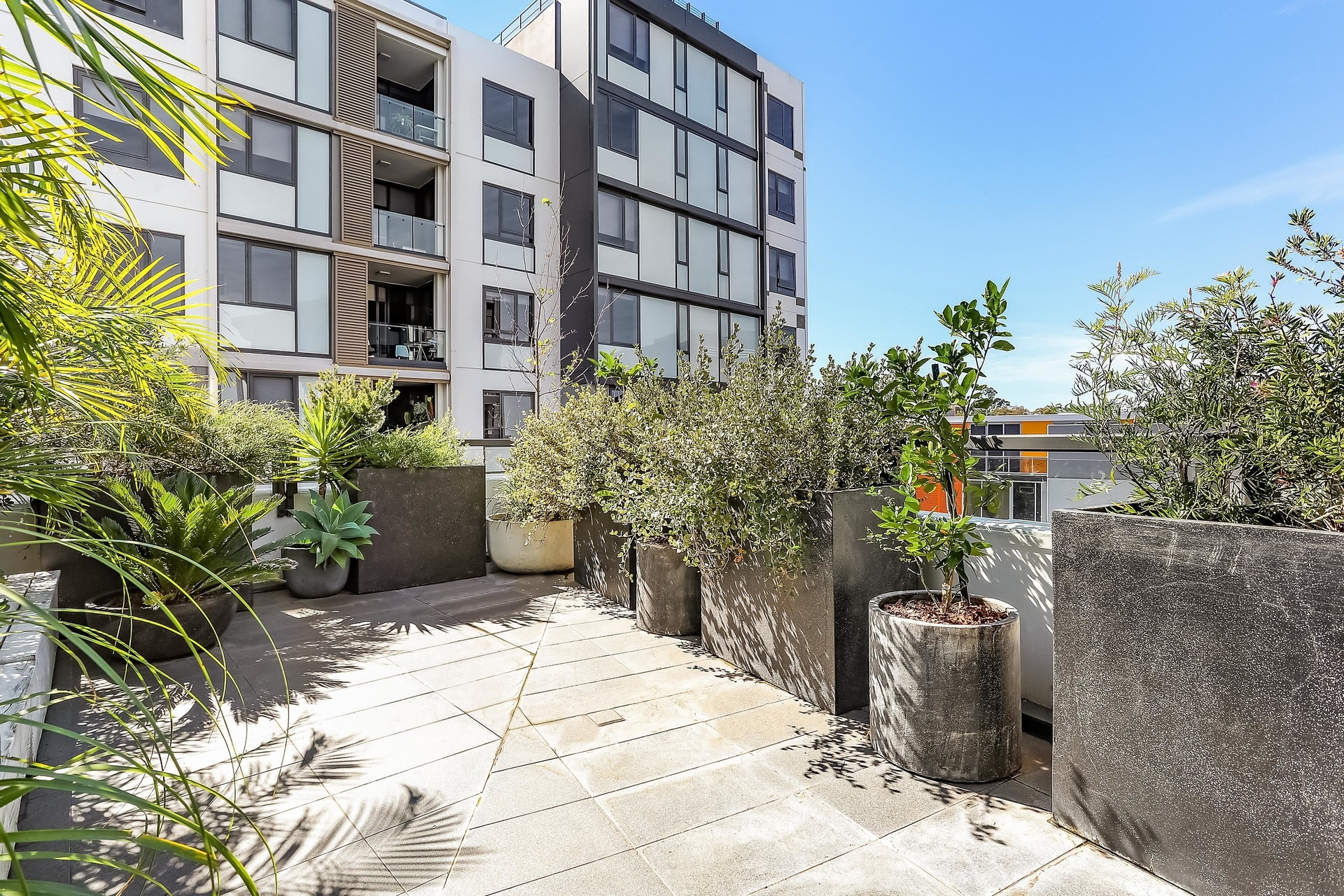 412/20 Hudson Street, Lewisham Sold by Hudson McHugh - image 1