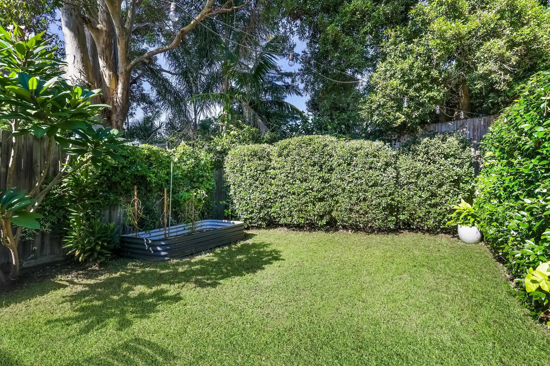 161 Old Canterbury Road, Dulwich Hill Sold by Hudson McHugh - image 1