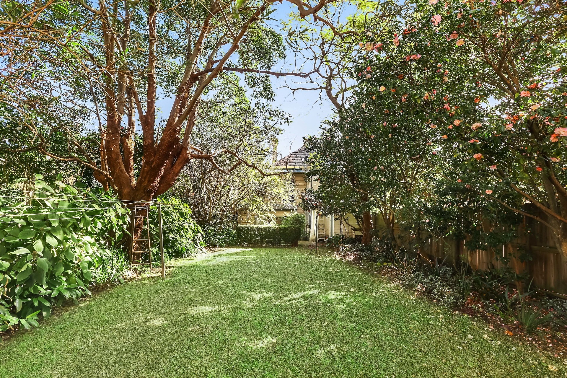 17a Palace Street, Petersham Leased by Hudson McHugh - image 1