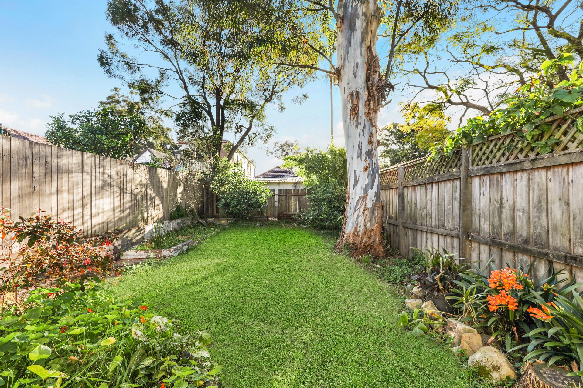 29 Nowranie Street, Summer Hill Sold by Hudson McHugh - image 1