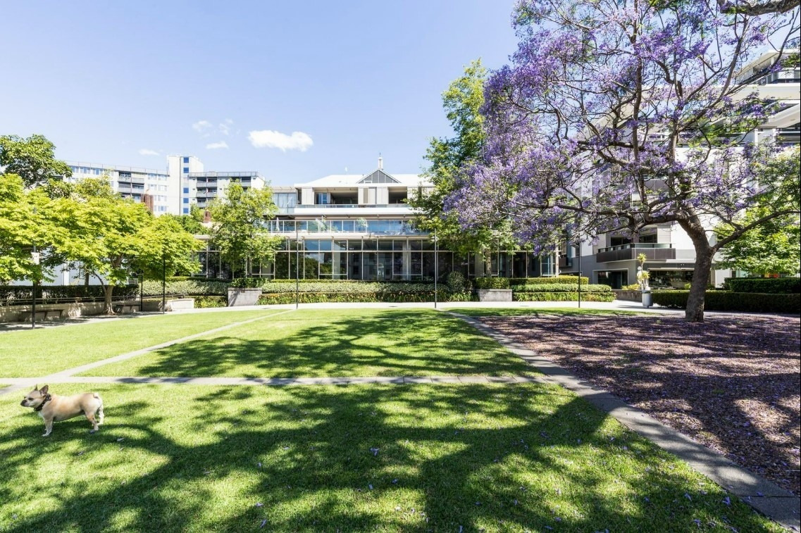 36/20 Pyrmont Bridge Road, Camperdown Leased by Hudson McHugh - image 1