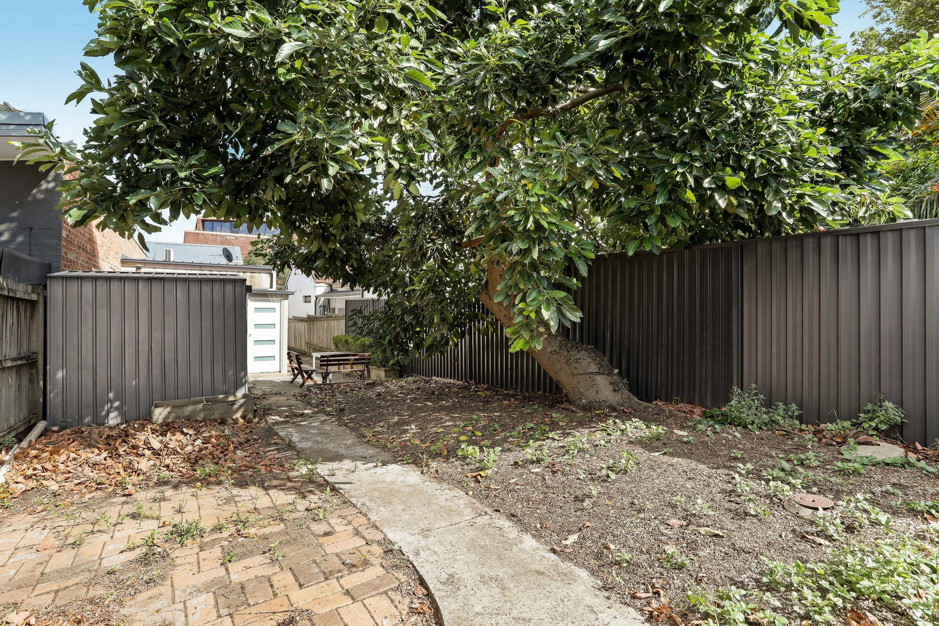 11 Grove Street, Dulwich Hill Leased by Hudson McHugh - image 1