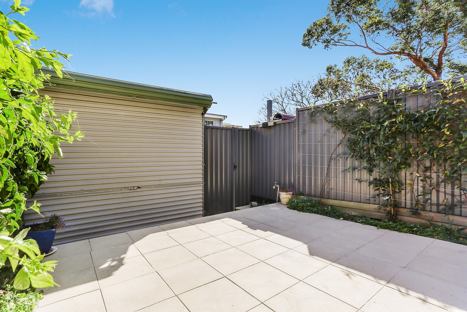 16 Rofe Street, Leichhardt Leased by Hudson McHugh - image 1