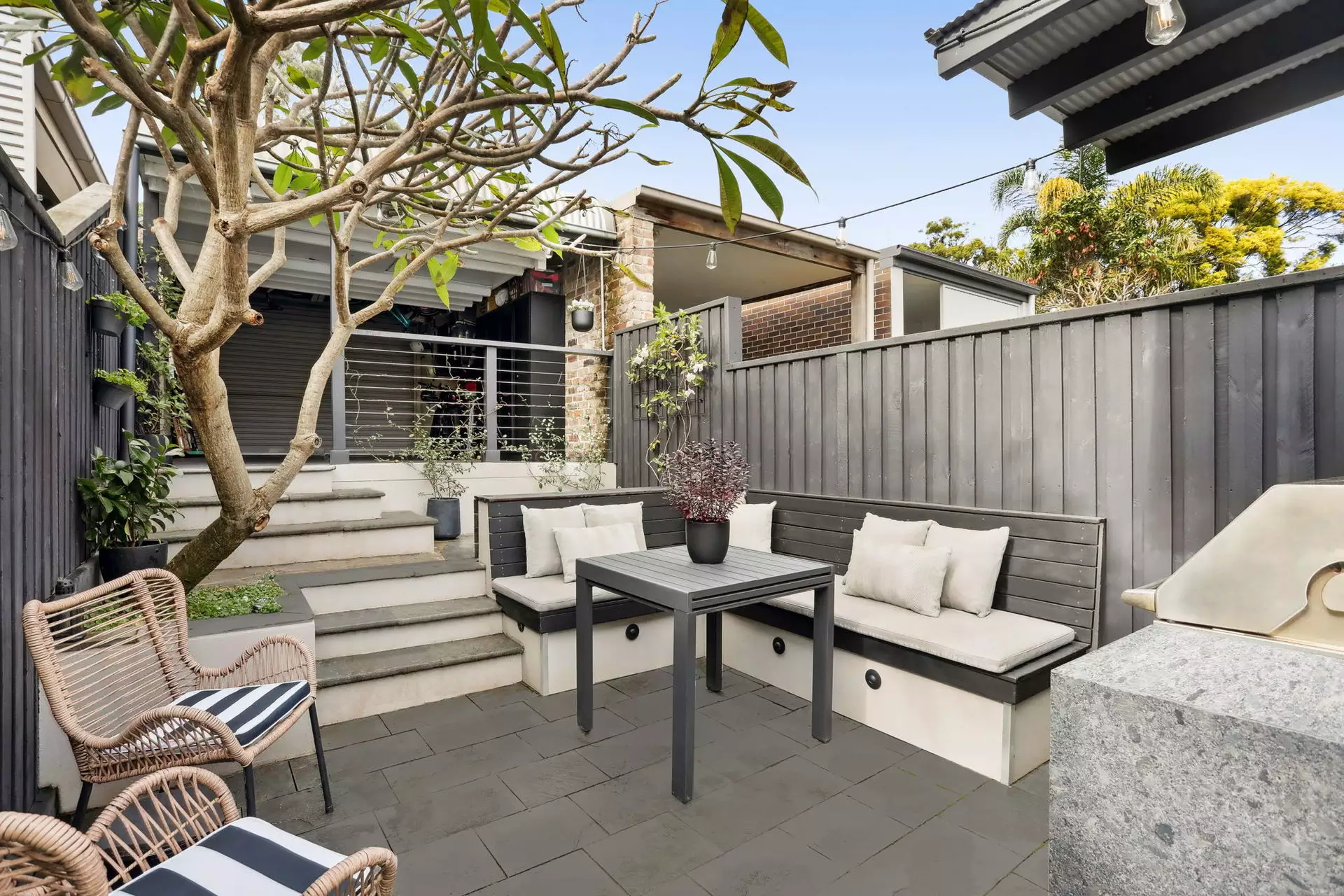 53 Young Street, Annandale Sold by Hudson McHugh - image 1