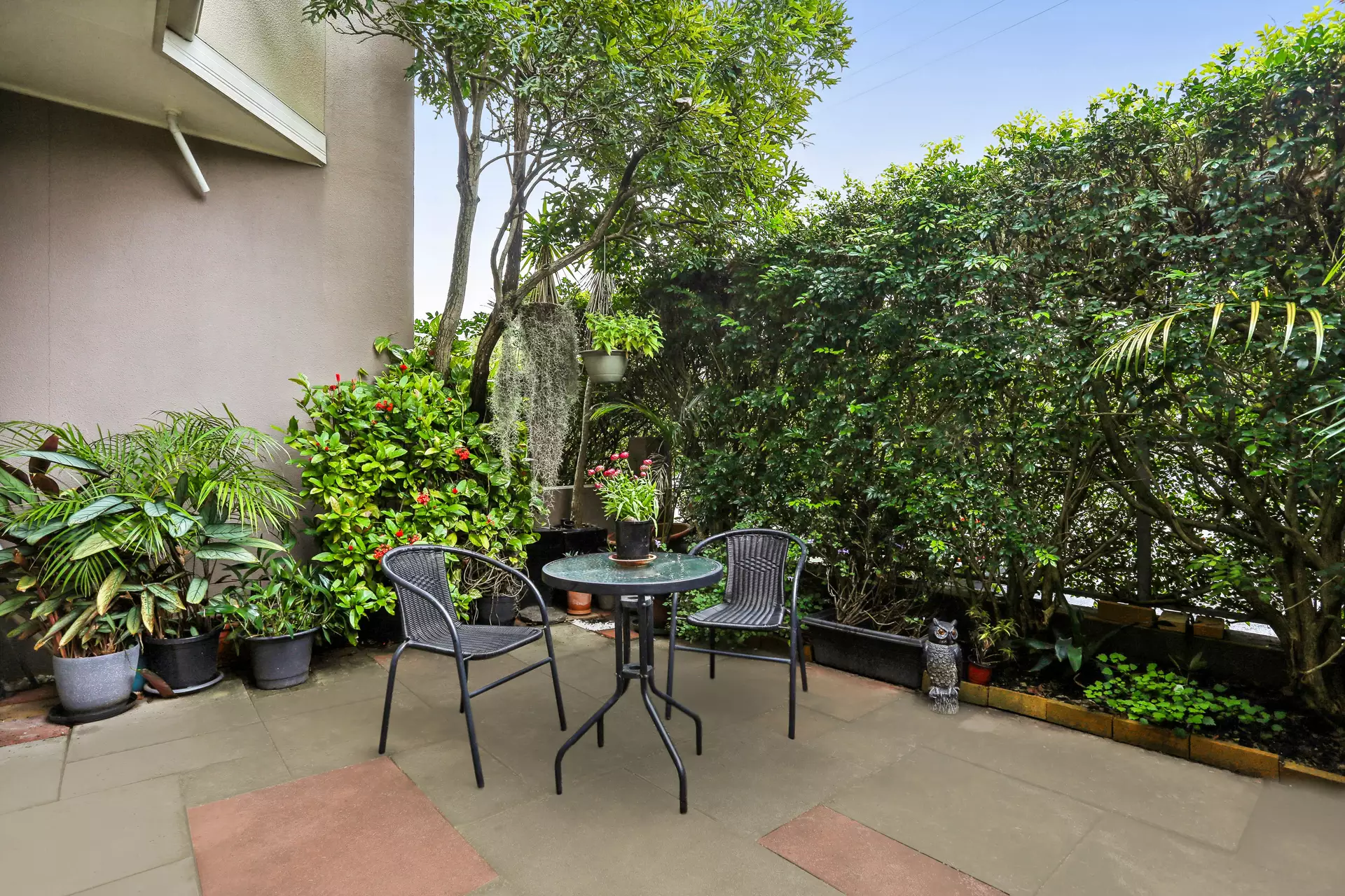 3/3 Hutchinson Street, Annandale Sold by Hudson McHugh - image 1