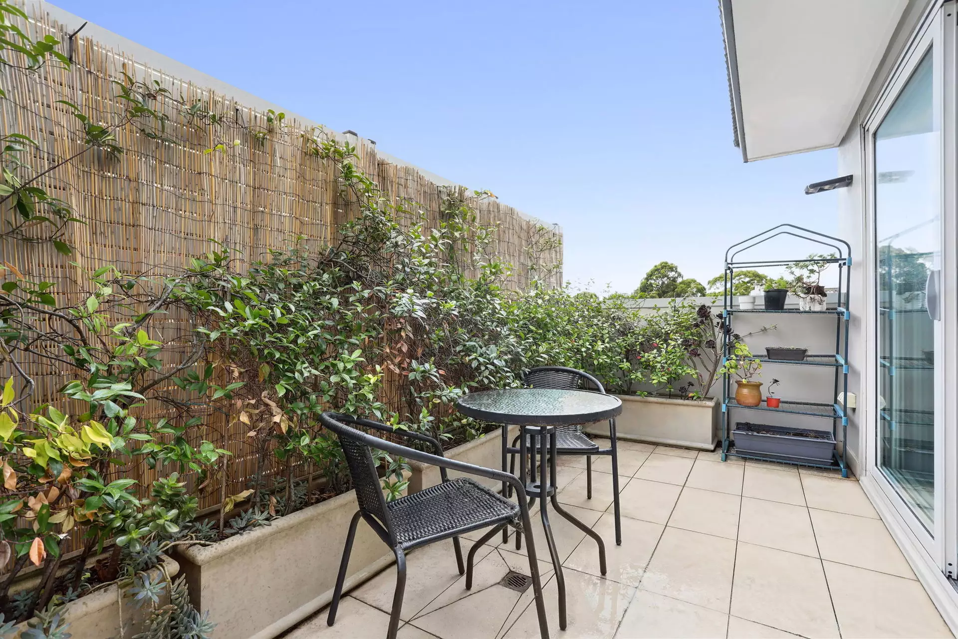 8/6 Norton Street, Leichhardt Auction by Hudson McHugh - image 1