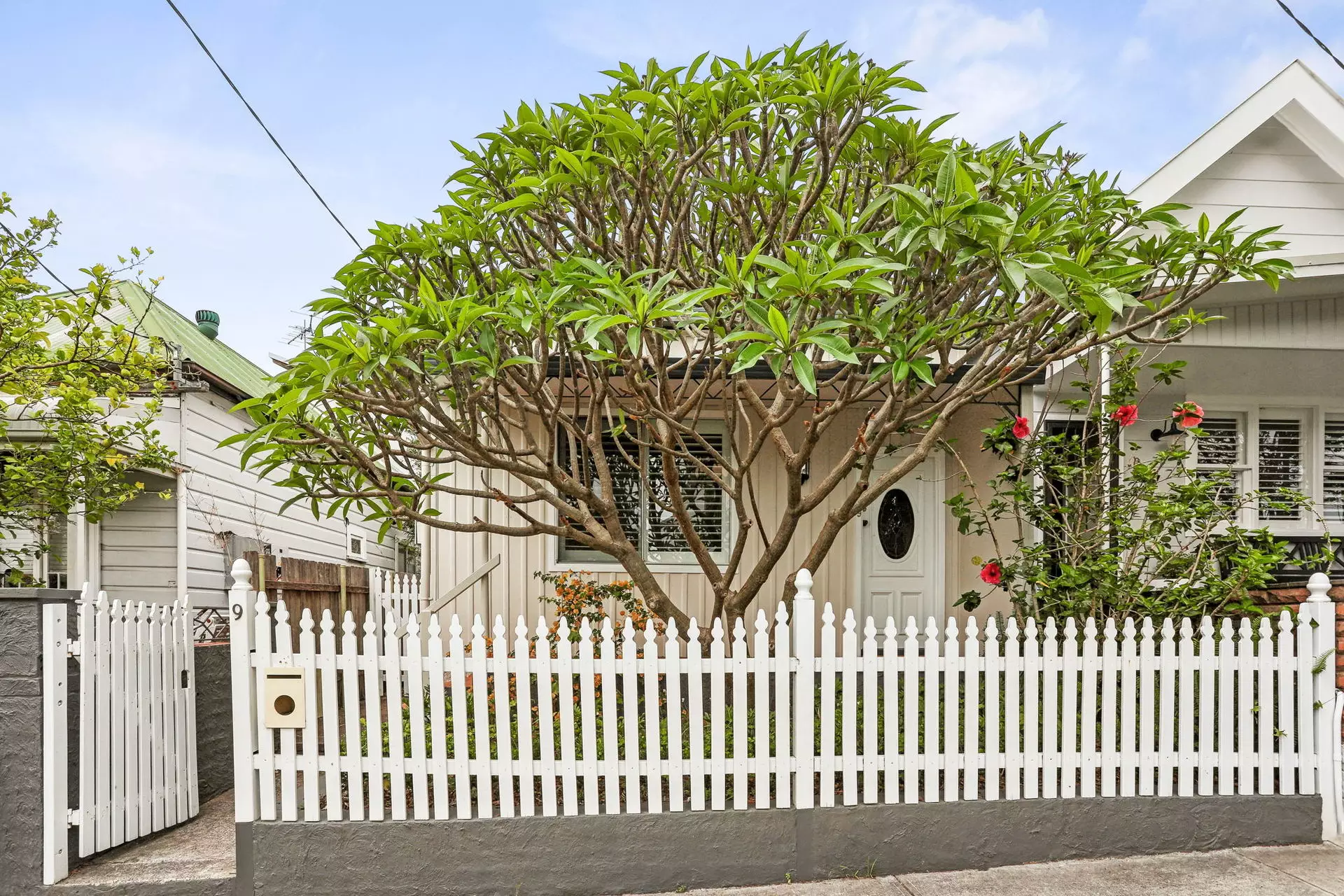 9 Burfitt Street, Leichhardt Leased by Hudson McHugh - image 1