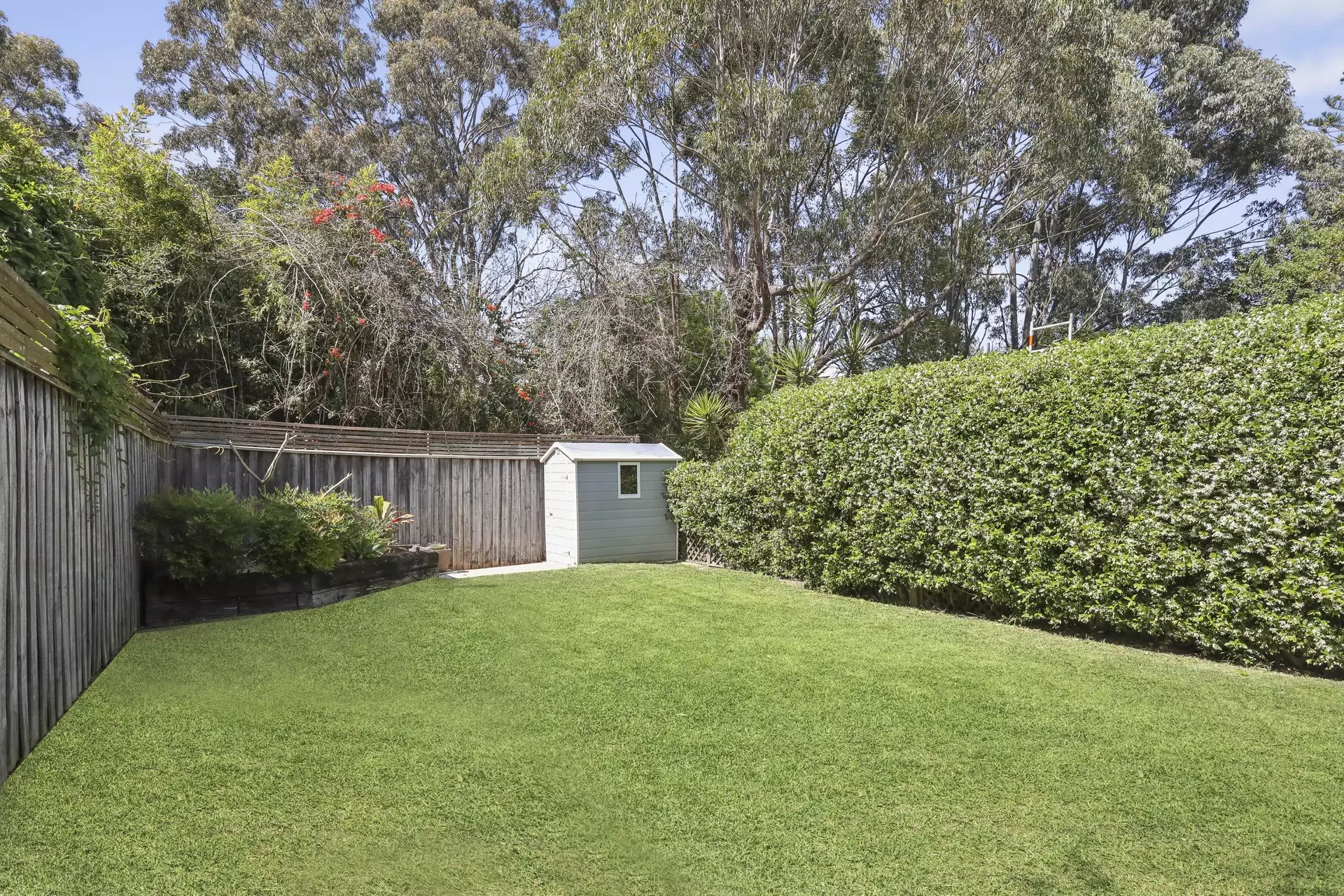 41 Weston Street, Dulwich Hill Auction by Hudson McHugh - image 1