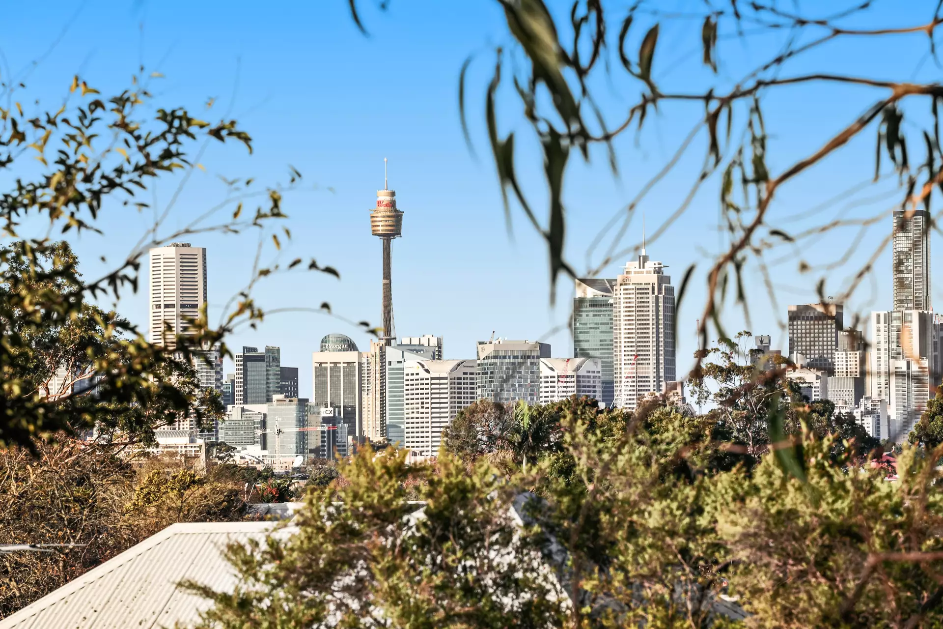 227 Balmain Road, Lilyfield For Lease by Hudson McHugh - image 1