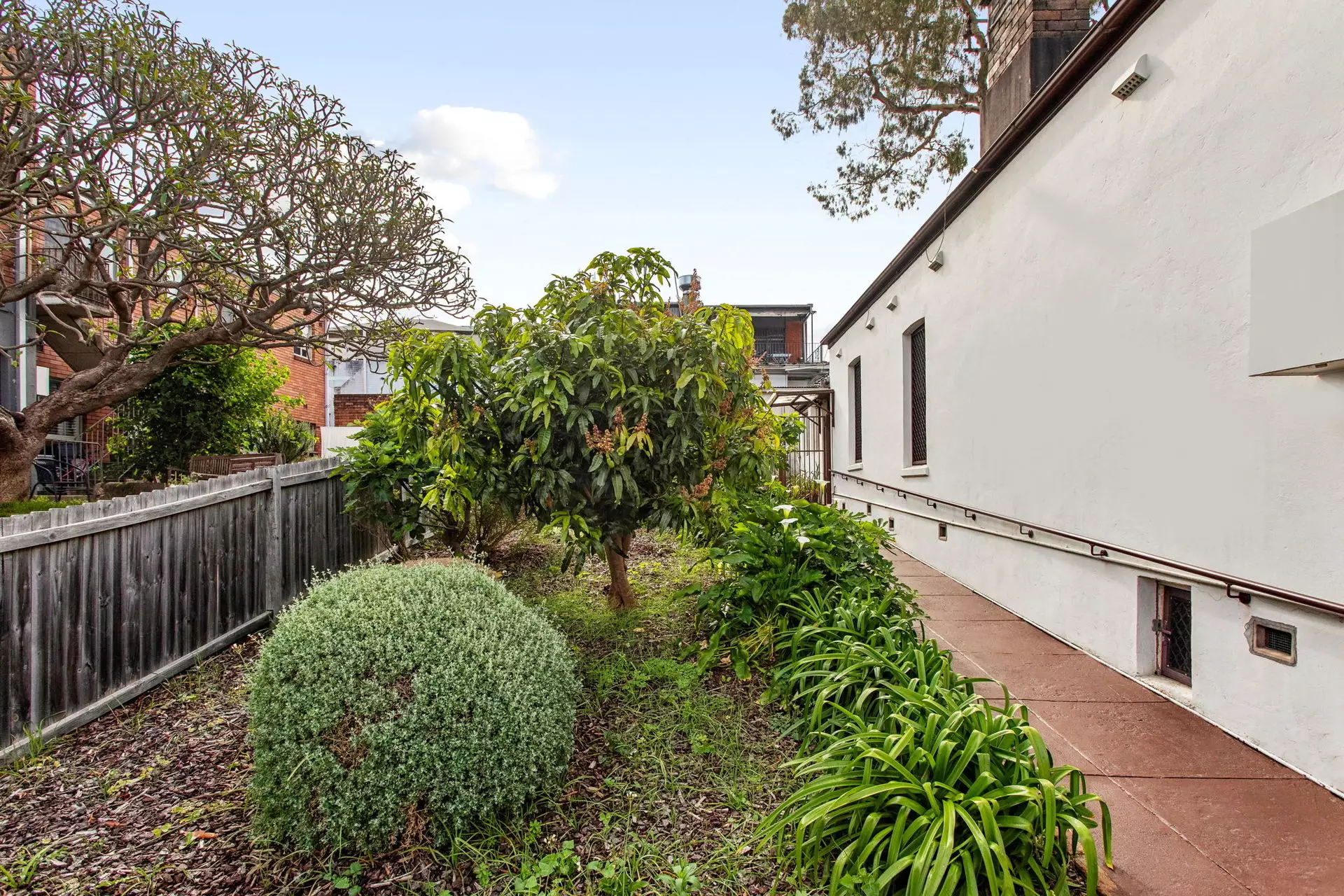 22 View Street, Annandale Auction by Hudson McHugh - image 1