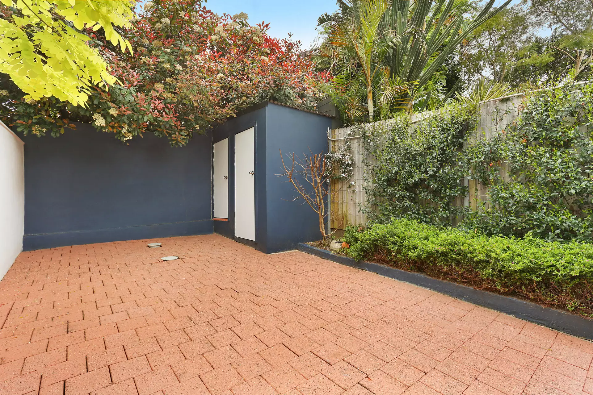 41 Cary Street, Leichhardt Pre-market by Hudson McHugh - image 1