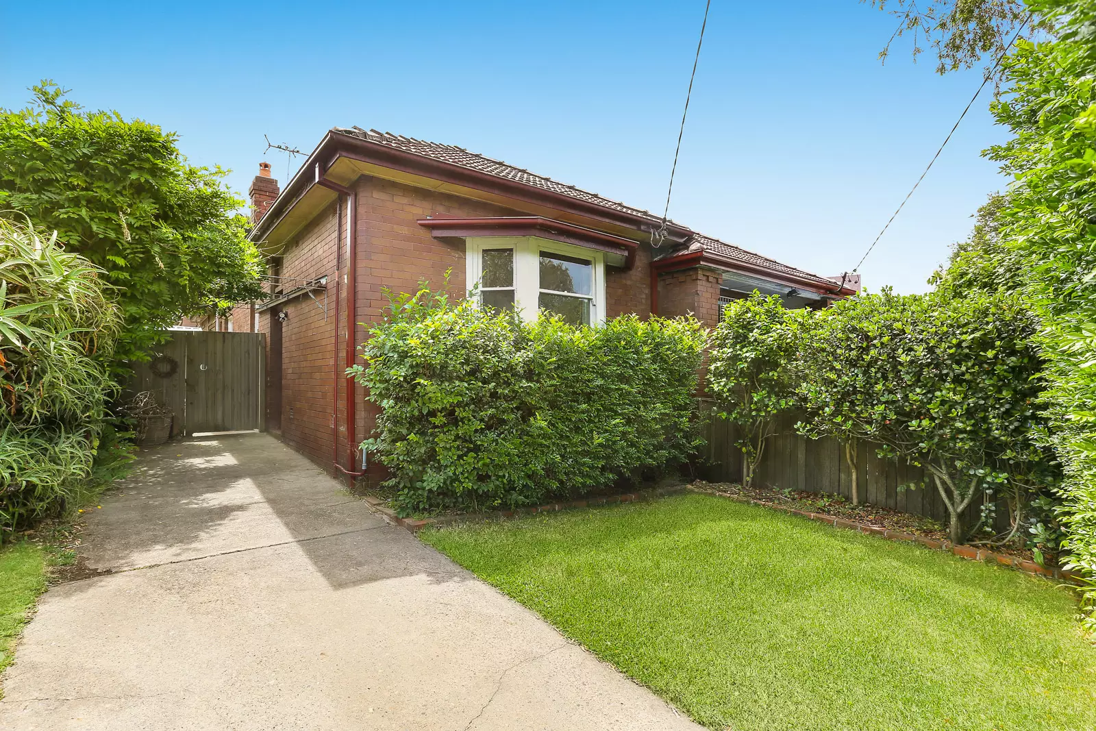 388 Catherine Street, Lilyfield Leased by Hudson McHugh - image 1