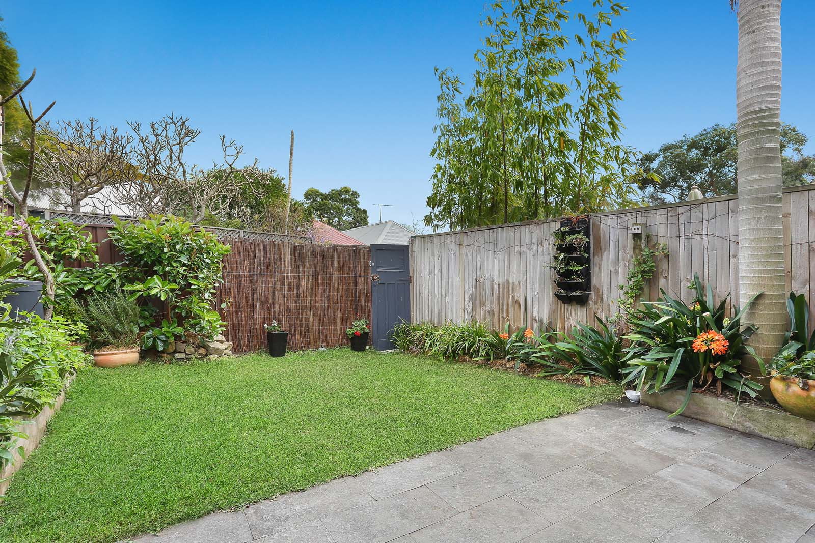 32 Charles Street, Leichhardt Sold by Hudson McHugh - image 1